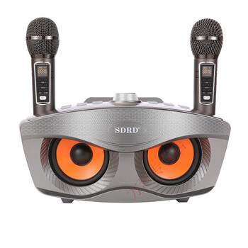 糖蚁索尼(sony)()适用话筒音响一体麦克风海信连接电视无线家用儿童