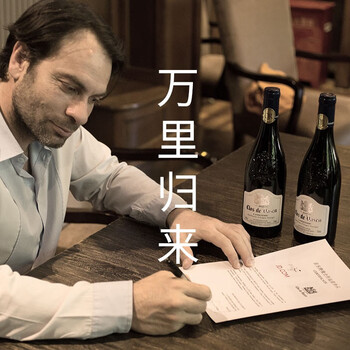 菲特瓦无红酒到底值不值得选择？深入揭秘为你解说