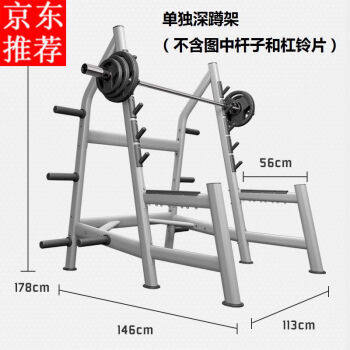 自由深蹲架框式龙门架卧推架杠铃架健身房健身器材家用半框深蹲架不含