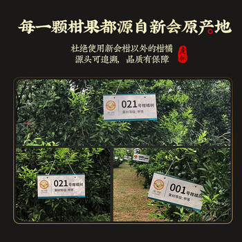 虎标中国香港品牌  五年新会陈皮泡水泡茶广东江门220g礼盒装送礼