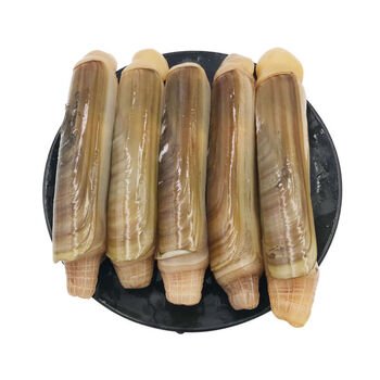 鲸洋大竹蛏子海鲜水产贝类新鲜活冻蛏子速冻新鲜蛏子野生双头蛏海蚬