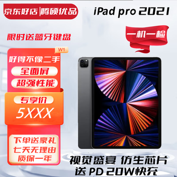 ipad pro 11 - 京东