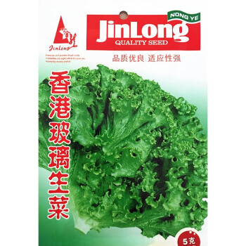 金龍 生菜种子 香港玻璃生菜种子 青菜种 蔬菜种籽易种植可盆栽5克/包