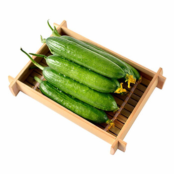新鲜小黄瓜水果黄瓜 脆嫩小青瓜 2.5kg 5斤装