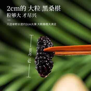 同仁堂桑葚干免洗无沙黑桑椹果干即食桑葚颗粒泡水特级桑椹子