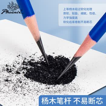 【全网低价】凤凰画材(Phoenix)  10B铅笔12支装 素描绘画绘图考试铅笔 学生初学者艺考画画专用PicDP12美术写生