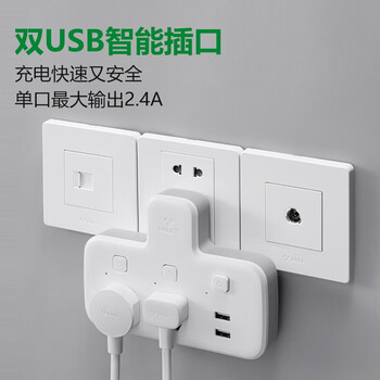 公牛（BULL）插座扩展器一转二带usb插座/一转多插座/转换插头/转换器/插排  2位分控带usb GN-96023U