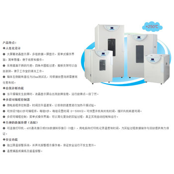 一恒 电热恒温鼓风干燥箱实验室药材烘干老化试验工业烤箱 BPG-9040A