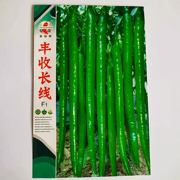 茗羽珺玥安徽萧研辣椒种业辣椒种子长线椒青红两用青椒种子大棚露地