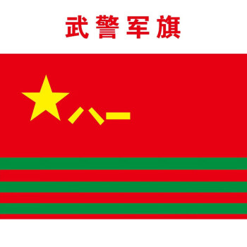 海陆空军八一军旗消防救援旗党员突击队志愿者先锋队中 武警军旗 1号