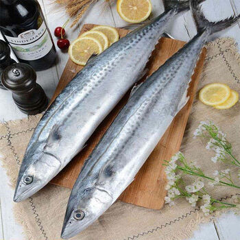 新鲜冷冻燕鲅鱼鲜活海捕马鲛鱼深海鱼鲅鱼馅水饺原料海鲜2-5斤 小号