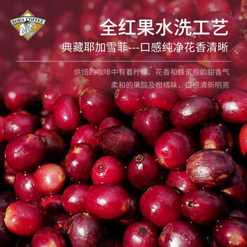 博达典藏耶加雪菲咖啡豆 黑咖啡现磨 500克 博达典藏耶加雪菲咖啡豆 黑咖啡现磨 500克