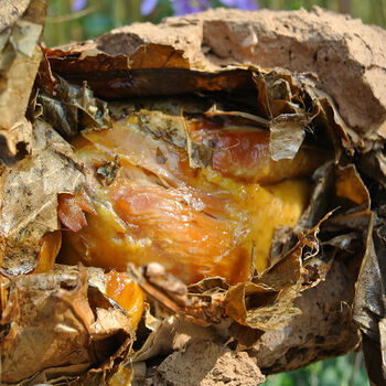 正宗黄泥叫花鸡整只即食荷叶鸡烤鸡老式烧鸡手撕鸡叫花鸡原味带泥荷叶