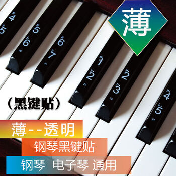 电子琴键贴薄款透明钢琴键贴纸88键61键54键49键32键五线谱简谱贴黑键