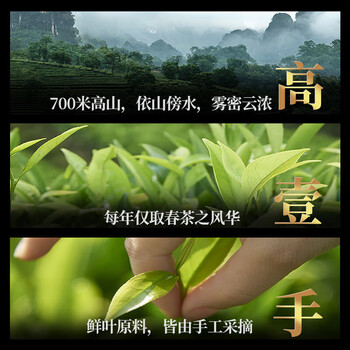 宋凰乌龙茶口粮系列潮州凤凰单丛单枞奇兰香特级100g中火罐装茶叶自饮 宋凰乌龙茶口粮系列潮州凤凰单丛单枞奇兰香特级100g中火罐装茶叶自饮