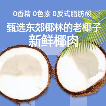 春光食品 海南特产 营养椰子粉320g 生椰拿铁 咖啡伴侣 椰奶椰汁粉