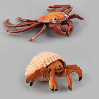 善常 儿童仿真海洋动物模型八爪鱼海龟摆件乌龟仿真塑胶实心海底螃蟹