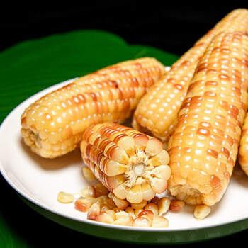 小芽大养 云南西双版纳香糯小玉米即食 紫糯花糯玉米棒傣糯非转基因