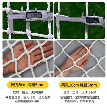 源兴（YUANXING）安全网防坠网 楼梯防护网尼龙网货车网绳网兜墙面挂网幼儿园户外攀爬网 4米x6米 网孔5cm