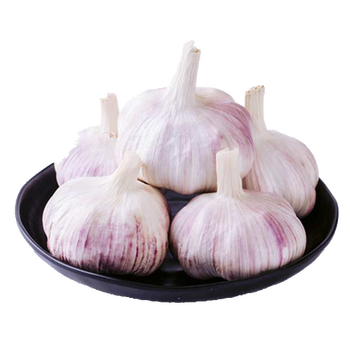 山东大蒜 干蒜 大蒜头 蔬菜生鲜 5斤装