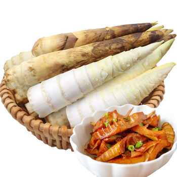 冬笋新鲜现挖福建建瓯嫩笋子蔬菜坏果包赔中笋净重3斤泡沫箱冰袋保鲜