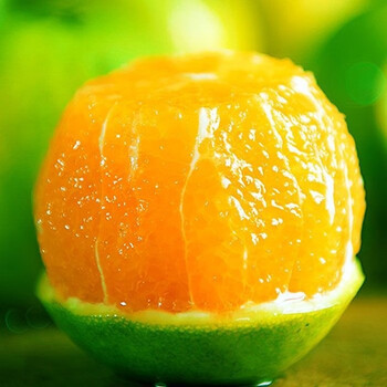 【稀有品种】新鲜青橙子整箱批发薄皮绿橙应季水果非伦晚脐橙夏橙