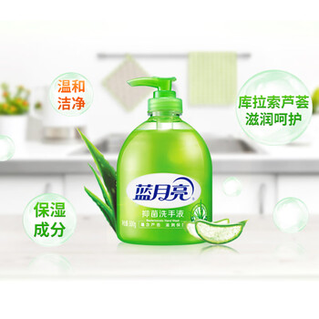 蓝月亮（HWM）芦荟抑菌洗手液  500g+500g