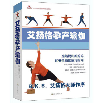 正版 《艾扬格孕产瑜伽》 9787534456800 江苏美术出版社