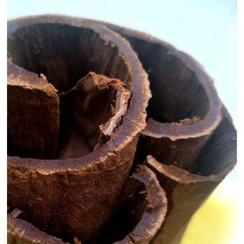 越南清化油桂材肉桂越南清化紫油桂高山桂心官桂安南