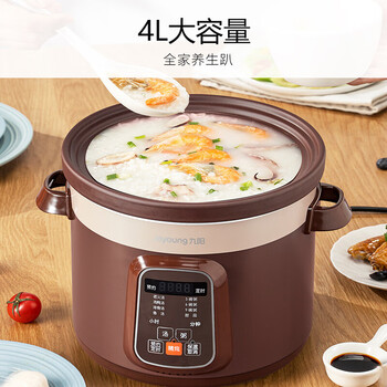 九阳（Joyoung）电炖锅电炖盅4L大容量紫砂预约电砂锅智能定时精炖煮粥煲汤锅GD410 ds