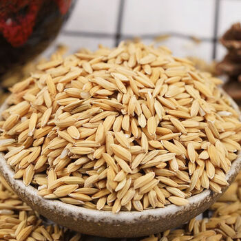 xywlkj稻谷水稻带壳稻子带壳大米水稻粮食喂鸡喂鸭鸽子饲料1斤3斤5斤1