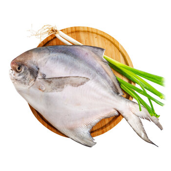 獐子岛冷冻大号新鲜银鲳鱼400g500g条一整条装平鱼深海鱼海鲜水产生鲜