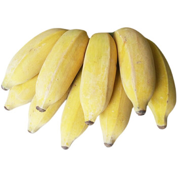 广西芭蕉西贡蕉新鲜水果粉蕉香蕉当季3斤装