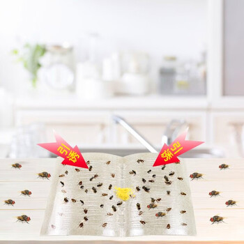 空消粘蝇板高效诱捕苍蝇贴粘蝇纸强力粘苍蝇蚊蝇小飞虫胶灭蝇纸板60张