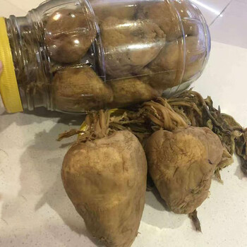 玖纹豹寻味顺德特产均安大头菜生晒头菜500g香脆可口奇味食用采购批发