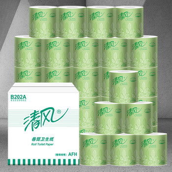 清风 卷筒卫生纸 2层250段/卷*10卷/提*10提 整箱 公用厕纸手纸B202A