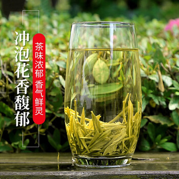 润虎 福建茉莉花茶 一级茉莉龙珠 七窨工艺 浓香型 300g罐装 办公口粮茶 颗粒饱满 自己喝