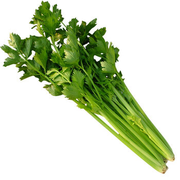 源外园 山东特产现拔新鲜蔬菜西芹当季时令小芹菜香芹5斤3斤1斤青菜 1