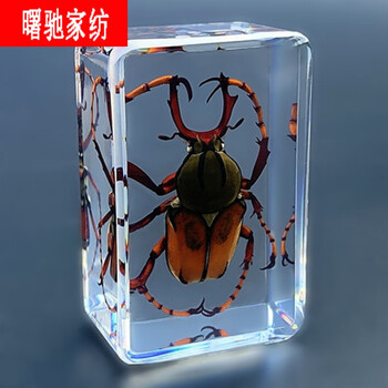 昆虫标本树脂海洋动物标本金龟子蚊子螃蟹甲虫蜘蛛真虫幼儿园鹿角金龟其他长方形尺寸独立 图片价格品牌报价 京东