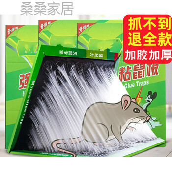 老鼠贴粘鼠板10张粘鼠板老鼠贴捕鼠器家用灭鼠捉抓沾老鼠板胶夹子粘鼠板粘板 图片价格品牌报价 京东