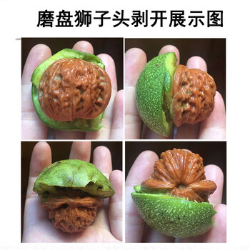 老款闷尖狮子头价格报价行情- 京东