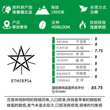 TO精品咖啡豆 埃塞俄比亚切尔巴耶加雪菲日晒200g 原产地手冲单品