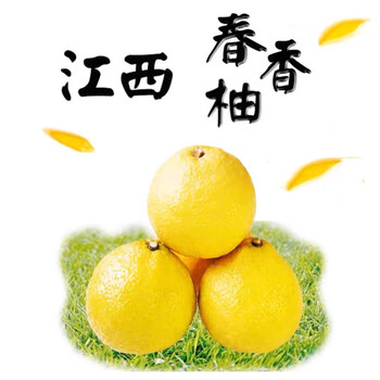 芒司令江西进贤七里乡春香柚纯甜无酸黄金贡柚新鲜脆甜多汁礼盒装93斤