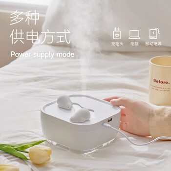 极地物种 冰川加湿器小型家用卧室桌面香薰加湿机 香氛套装Z1
