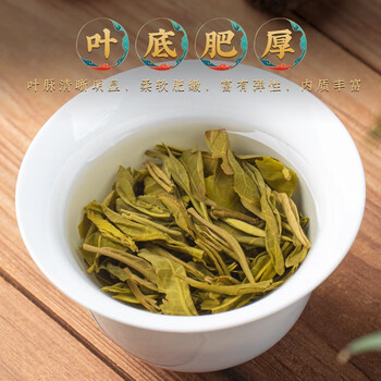 福茗源普洱茶 云南易武生普龙珠 普洱龙珠生茶叶礼盒送长辈500g端午礼盒