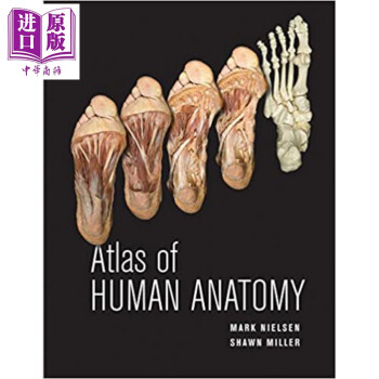 Atlas Of Human Anatomy 人类解剖学图谱 英文原版 Mark Nielsen