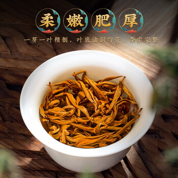 福茗源滇红金螺红茶 蜜香特级2026新茶滇红春茶叶自己喝口粮茶袋装500g