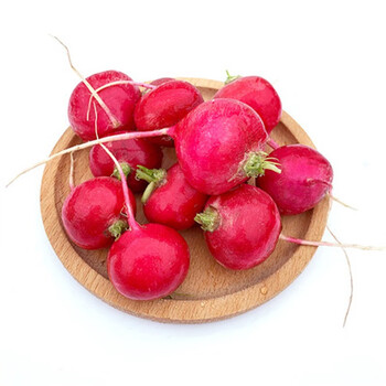 樱桃萝卜迷你水果萝卜小红圆萝卜西餐沙拉蔬菜食材2斤