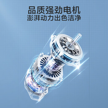 小天鹅（LittleSwan）波轮洗衣机全自动  6.5公斤 健康免清洗 品质电机 宿舍 租房神器 小型迷你 双层平衡圈 TB65V668E