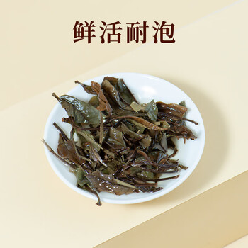如雀金罐政和白茶白牡丹50g 3年散茶罐装高山茶叶 围炉煮茶